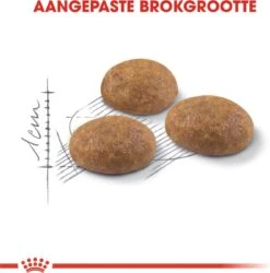 Royal Canin Outdoor - Kattenvoer - 4 Kg 18 Royal Canin Outdoor - Kattenvoer - 4 Kg -Kattenproducten 1186x1200 6