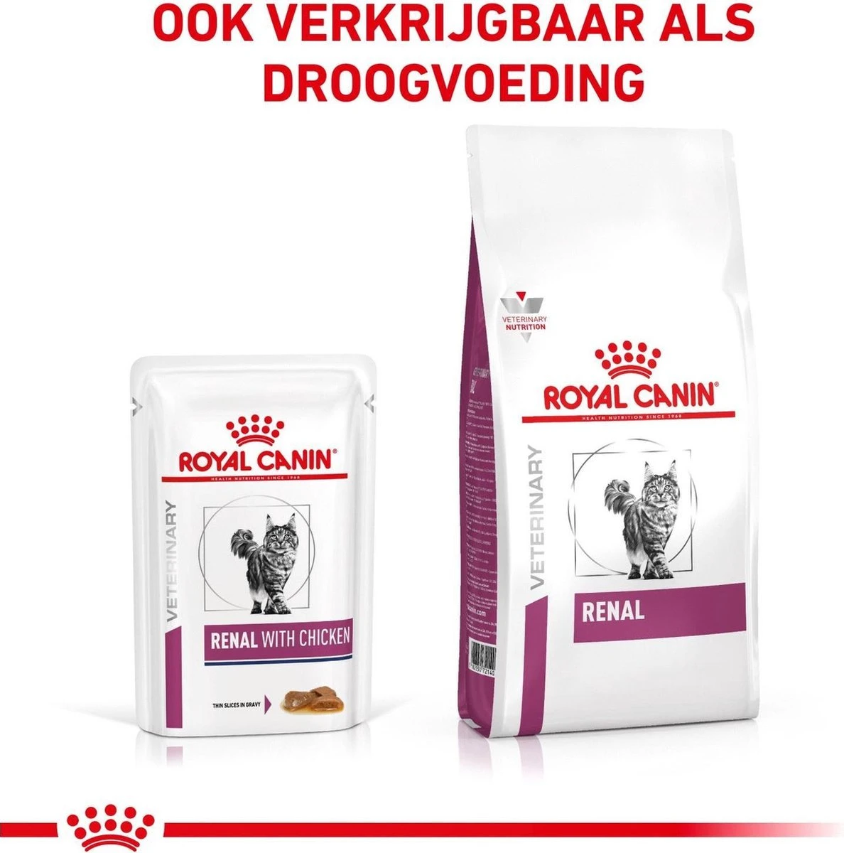 Royal Canin Renal Kip - Kattenvoer - 12 X 85 G 7 Royal Canin Renal Kip - Kattenvoer - 12 X 85 G - Afbeelding 5