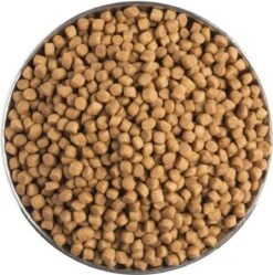 Pro Plan Veterinary Diets Feline Gastro-intestinal - Kattenvoer- 5kg 11 Pro Plan Veterinary Diets Feline Gastro-intestinal - Kattenvoer- 5kg -Kattenproducten 1188x1200 3