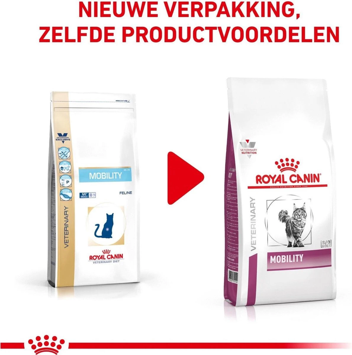 Royal Canin Mobility - Kattenvoer - 2 Kg 4 Royal Canin Mobility - Kattenvoer - 2 Kg - Afbeelding 2
