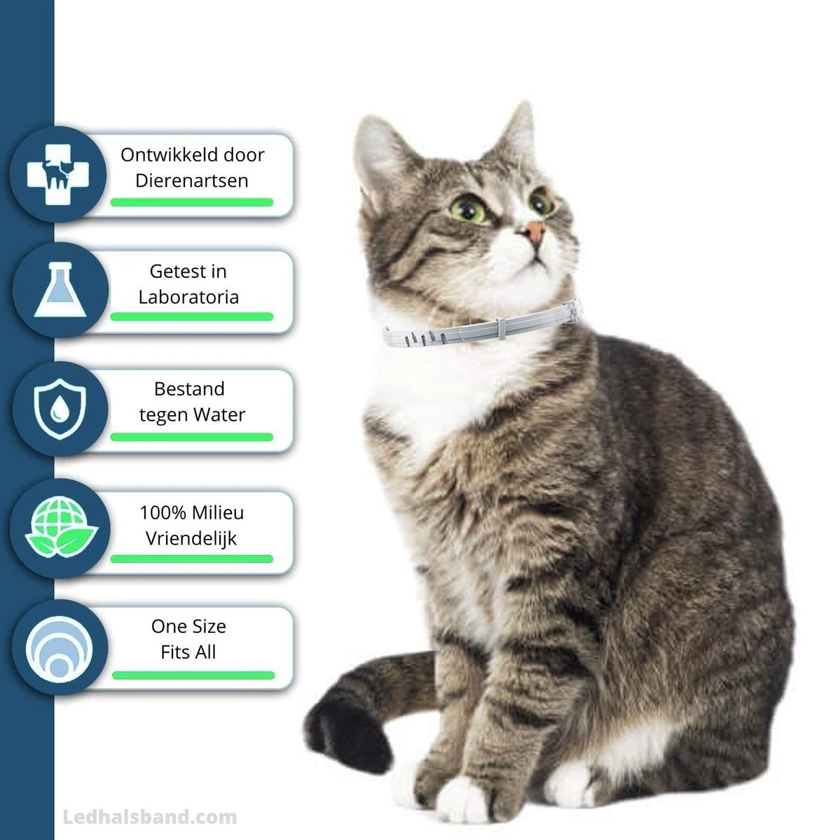 Biologische Vlooienband | Katten | Zonder Pesticiden | Vlooien En Teken | Veilig Voor Mens En Dier | Milieuvriendelijk | Kattenbandje | Geur Halsband 4 Biologische Vlooienband | Katten | Zonder Pesticiden | Vlooien En Teken | Veilig Voor Mens En Dier | Milieuvriendelijk | Kattenbandje | Geur Halsband - Afbeelding 2