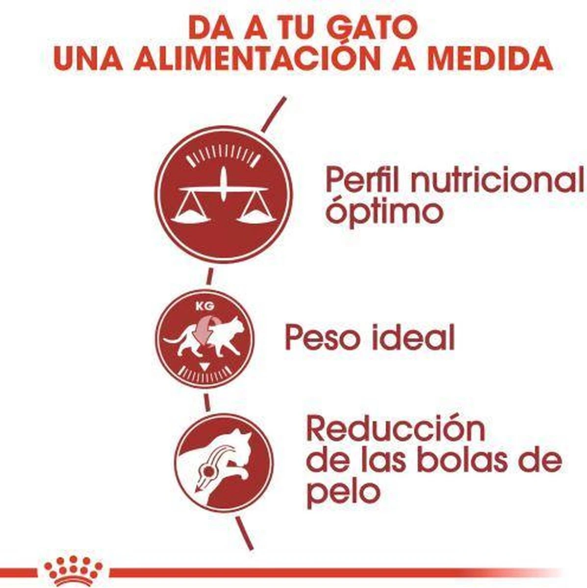 Royal Canin Fit 32 - Kattenvoer - 10 Kg 6 Royal Canin Fit 32 - Kattenvoer - 10 Kg - Afbeelding 4