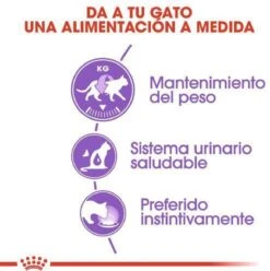 Royal Canin Sterilised In Jelly - Kattenvoer - 1020 G 28 Royal Canin Sterilised In Jelly - Kattenvoer - 1020 G -Kattenproducten 1197x1200 2