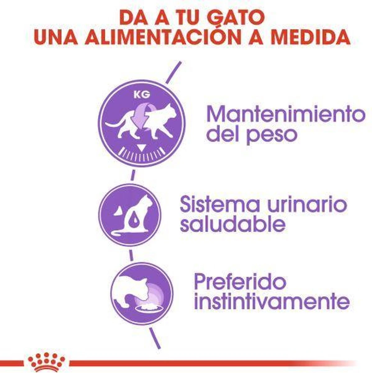 Royal Canin Sterilised In Jelly - Kattenvoer - 1020 G 15 Royal Canin Sterilised In Jelly - Kattenvoer - 1020 G - Afbeelding 13