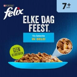Felix Elke Dag Feest Vis 7+ Senior - Katten Natvoer - 48 X 85g -Kattenproducten 1198x1200 1