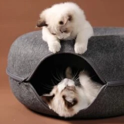 Merkloos A.K.A. Kattentunnel En Kattenmand In-1 – Kattenspeelgoed Speeltunnel Kattenhuis – Kattenhol Rond Kattenspeeltjes - Cat Cave Donut - Antraciet Vilt 12 Merkloos A.K.A. Kattentunnel En Kattenmand In-1 – Kattenspeelgoed Speeltunnel Kattenhuis – Kattenhol Rond Kattenspeeltjes - Cat Cave Donut - Antraciet Vilt -Kattenproducten 1198x1200 11