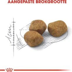 Royal Canin Fit 32 4 Kg -Kattenproducten 1198x1200 2