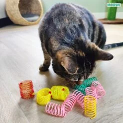 Moowi - Springveren 30 Stuks - Kat - Kattenveertjes - Kattenspeelgoed -Kattenproducten 1199x1200 20