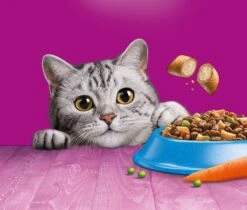 Whiskas 1+ Kattenbrokken - Tonijn - Zak 1 X 7 Kg -Kattenproducten 1200x1019 2