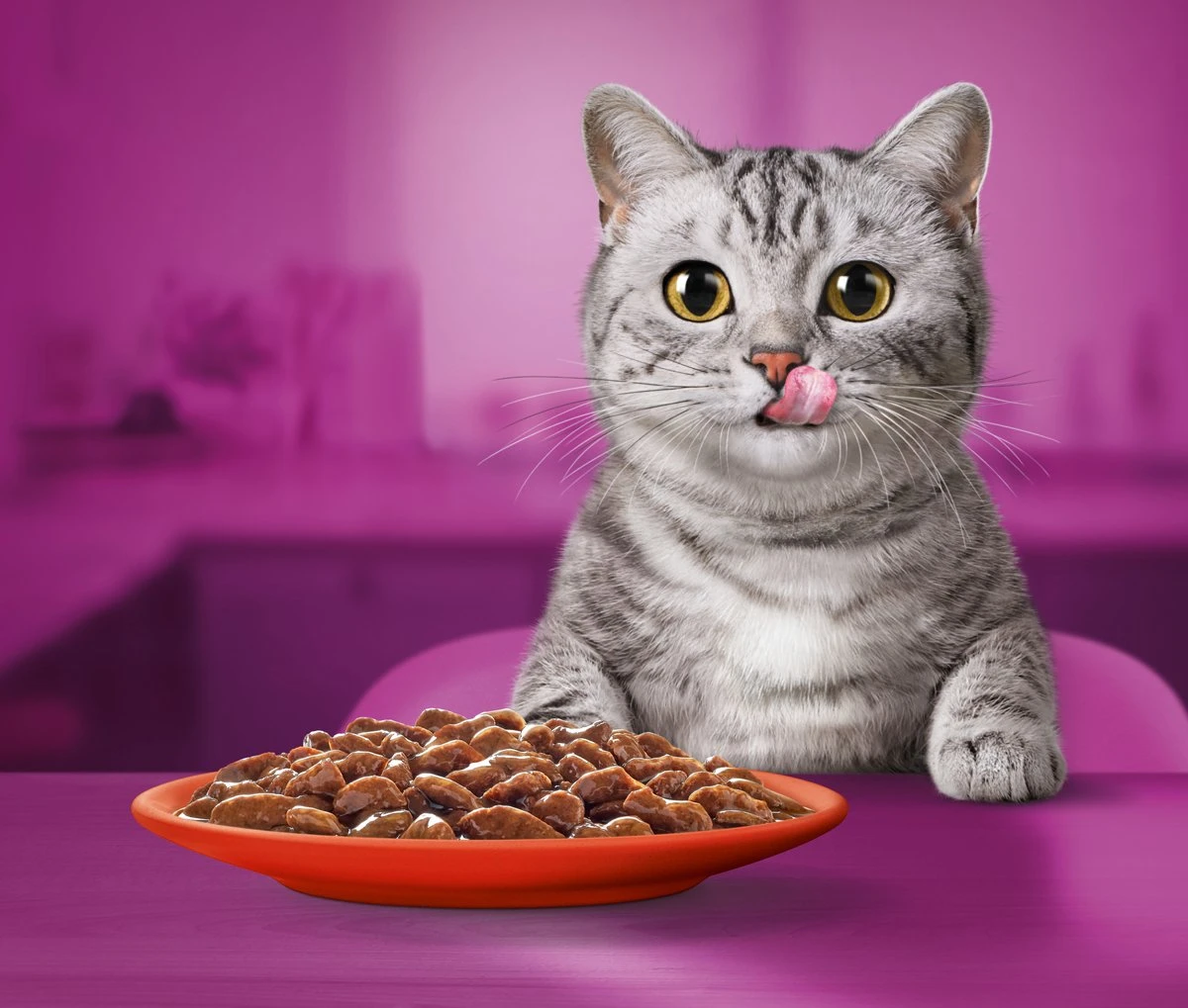 Whiskas 1+ Natvoer - Classic - Selectie In Saus - Maaltijdzakjes 80 X 85 G 7 Whiskas 1+ Natvoer - Classic - Selectie In Saus - Maaltijdzakjes 80 X 85 G - Afbeelding 5