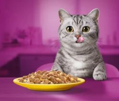 Whiskas 1+ Natvoer - Gevogelte - Selectie In Gelei - Maaltijdzakjes 80 X 85 G 11 Whiskas 1+ Natvoer - Gevogelte - Selectie In Gelei - Maaltijdzakjes 80 X 85 G -Kattenproducten 1200x1019 4