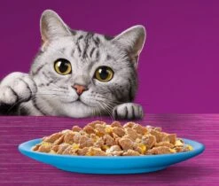 Whiskas 1+ Natvoer - Vis - Selectie In Gelei - Maaltijdzakjes 40 X 85 G 10 Whiskas 1+ Natvoer - Vis - Selectie In Gelei - Maaltijdzakjes 40 X 85 G -Kattenproducten 1200x1019 5