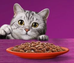 Whiskas 7+ Natvoer - Classic - Selectie In Saus - Maaltijdzakjes 48 X 85 G 11 Whiskas 7+ Natvoer - Classic - Selectie In Saus - Maaltijdzakjes 48 X 85 G -Kattenproducten 1200x1019 6