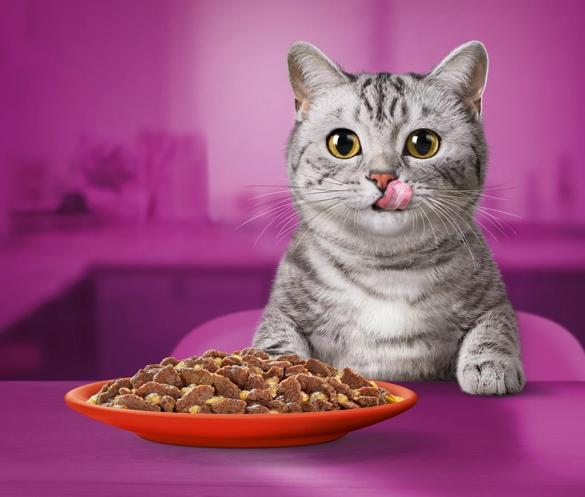 Whiskas 1+ Natvoer - Classic - Selectie In Gelei - Maaltijdzakjes 60 X 85 G 7 Whiskas 1+ Natvoer - Classic - Selectie In Gelei - Maaltijdzakjes 60 X 85 G - Afbeelding 5