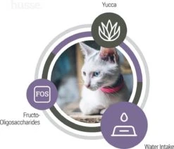 Husse Katt Urinary - Kattenvoer Blaasgruis - 2 Kg 13 Husse Katt Urinary - Kattenvoer Blaasgruis - 2 Kg -Kattenproducten 1200x1023