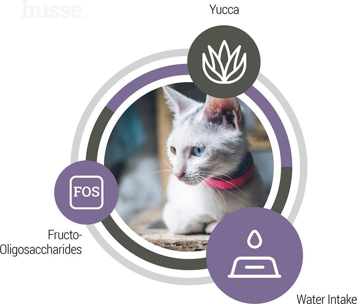 Husse Katt Urinary - Kattenvoer Blaasgruis - 2 Kg 8 Husse Katt Urinary - Kattenvoer Blaasgruis - 2 Kg - Afbeelding 6