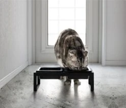 Yamazaki Eetbak - Voederbak Kat - Tweeledig - Zwart 16 Yamazaki Eetbak - Voederbak Kat - Tweeledig - Zwart -Kattenproducten 1200x1025