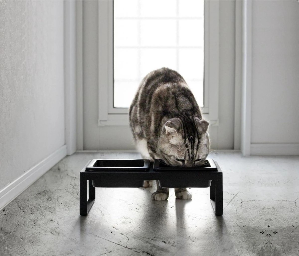 Yamazaki Eetbak - Voederbak Kat - Tweeledig - Zwart 8 Yamazaki Eetbak - Voederbak Kat - Tweeledig - Zwart - Afbeelding 6