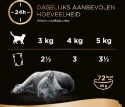 Sheba Mini Filets In Saus Kattenvoer Maaltijdzakjes Gevogelte 40 X 85 G 14 Sheba Mini Filets In Saus Kattenvoer Maaltijdzakjes Gevogelte 40 X 85 G -Kattenproducten 1200x1027