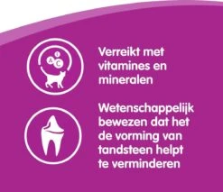 Whiskas Dentabites Kattensnoepjes - Kip - 8 X 40g -Kattenproducten 1200x1033 1