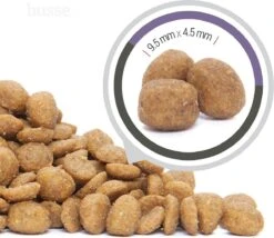 Husse Katt Urinary - Kattenvoer Blaasgruis - 2 Kg 12 Husse Katt Urinary - Kattenvoer Blaasgruis - 2 Kg -Kattenproducten 1200x1041