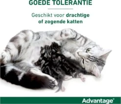 Bayer Anti Vlooienmiddel Advantage 80 > 4 Kg - 4 X 0,8 Ml 31 Bayer Anti Vlooienmiddel Advantage 80 > 4 Kg - 4 X 0,8 Ml -Kattenproducten 1200x1042