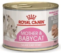 Royal Canin Wet Mother & Babycat Mousse - Kattenvoer - 195 Gr 9 Royal Canin Wet Mother & Babycat Mousse - Kattenvoer - 195 Gr -Kattenproducten 1200x1047 3