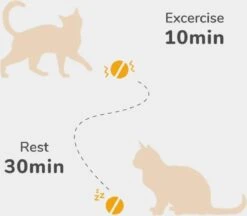 Cheerble Mini Ball 2.0 - Slimme Interactieve Zelf Rollende Bal Voor Katten - 3 Speelmodi - Kattenspeeltjes - USB Oplaadbaar - Rood 16 Cheerble Mini Ball 2.0 - Slimme Interactieve Zelf Rollende Bal Voor Katten - 3 Speelmodi - Kattenspeeltjes - USB Oplaadbaar - Rood -Kattenproducten 1200x1051 4