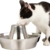 PetSafe® Seaside Stainless Steel Pet Fountain - RVS Drinkfontein Voor Katten En Kleine Honden - Water Borrelt Zacht Over De Toren - Door Het Design Van Alle Kanten Bereikbaar - 1,8 Liter - PetSafe Seaside 1 PetSafe® Seaside Stainless Steel Pet Fountain - RVS Drinkfontein Voor Katten En Kleine Honden - Water Borrelt Zacht Over De Toren - Door Het Design Van Alle Kanten Bereikbaar - 1,8 Liter - PetSafe Seaside -Kattenproducten 1200x1055