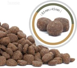 Husse Opus Lynx Graanvrij Kattenvoer - 7 Kg -Kattenproducten 1200x1056 1