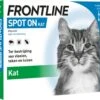 Frontline Spot-On Anti Vlooienmiddel Kat - 6 Pipetten 1 Frontline Spot-On Anti Vlooienmiddel Kat - 6 Pipetten -Kattenproducten 1200x1057 2