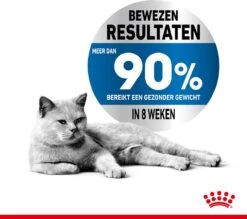 Royal Canin Light Weight Care - 1.5 Kg 20 Royal Canin Light Weight Care - 1.5 Kg -Kattenproducten 1200x1064
