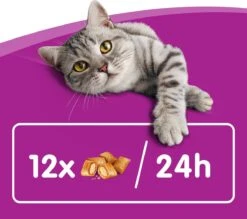 Whiskas Temptations Kattensnacks - Kip En Kaas - 8 X 60 Gr 12 Whiskas Temptations Kattensnacks - Kip En Kaas - 8 X 60 Gr -Kattenproducten 1200x1064 5