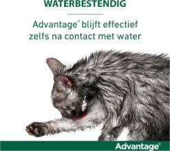 Bayer Advantage 40 Tegen Vlooien - <4kg - 4 X 0,4 Ml - Adult 37 Bayer Advantage 40 Tegen Vlooien - <4kg - 4 X 0,4 Ml - Adult -Kattenproducten 1200x1069 9
