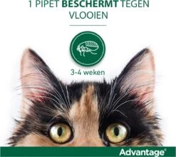 Bayer Advantage 40 Tegen Vlooien - <4kg - 4 X 0,4 Ml - Adult 33 Bayer Advantage 40 Tegen Vlooien - <4kg - 4 X 0,4 Ml - Adult -Kattenproducten 1200x1070 5