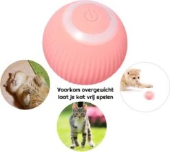 Otiume Slimme Katten Speeltje - Interactieve Zelf Rollende Bal Voor Katten - Kattenspeeltjes - USB Oplaadbaar- Turquoise 14 Otiume Slimme Katten Speeltje - Interactieve Zelf Rollende Bal Voor Katten - Kattenspeeltjes - USB Oplaadbaar- Turquoise -Kattenproducten 1200x1072