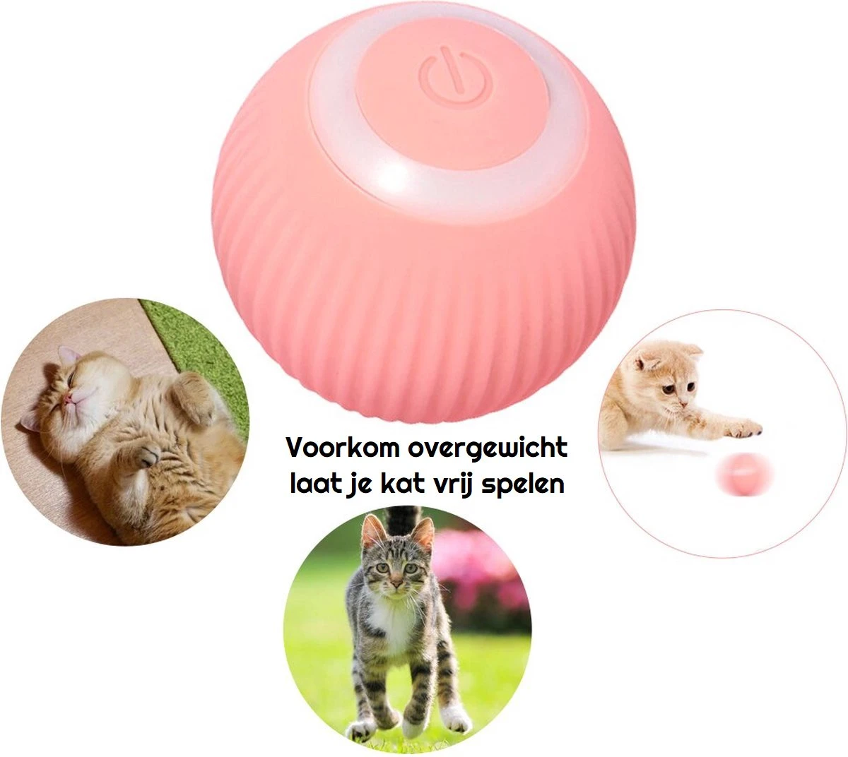 Otiume Slimme Katten Speeltje - Interactieve Zelf Rollende Bal Voor Katten - Kattenspeeltjes - USB Oplaadbaar- Turquoise 7 Otiume Slimme Katten Speeltje - Interactieve Zelf Rollende Bal Voor Katten - Kattenspeeltjes - USB Oplaadbaar- Turquoise - Afbeelding 5