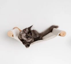 RHRQuality Wandmeubel Wandmontage Klimmuur Kat 53 X 43cm Luxe Hangmat XXL Creme Klim Wand Muur Krabpaal Katten Muurbevestiging -Kattenproducten 1200x1080 2