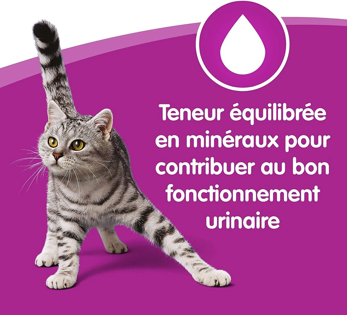 Whiskas 1 - Kattenvoer - Gehydrateerd - In Verschillende Smaken - 84 Stuks (84 X 100 G) 4 Whiskas 1 - Kattenvoer - Gehydrateerd - In Verschillende Smaken - 84 Stuks (84 X 100 G) - Afbeelding 2