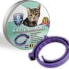 Natuurlijke Vlooienband - Katten - Paars - Zonder Giftige Pesticiden - 100% Natuurlijk - Vlooien En Teken - Milieuvriendelijk - Geur Halsband 2 Natuurlijke Vlooienband - Katten - Paars - Zonder Giftige Pesticiden - 100% Natuurlijk - Vlooien En Teken - Milieuvriendelijk - Geur Halsband -Kattenproducten 1200x1096 2