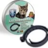Natuurlijke Vlooienband - Katten - Zwart - Zonder Pesticiden Of Gif - Vlooien En Teken - Kattenbandje - Eco Friendly 1 Natuurlijke Vlooienband - Katten - Zwart - Zonder Pesticiden Of Gif - Vlooien En Teken - Kattenbandje - Eco Friendly -Kattenproducten 1200x1096 3