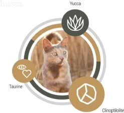 Husse Exclusive Lam & Rijst - Kattenvoer - 7 Kg 12 Husse Exclusive Lam & Rijst - Kattenvoer - 7 Kg -Kattenproducten 1200x1104 1