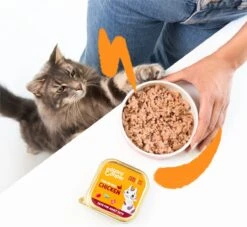 4x Edgard & Cooper Kattenvoer Adult Multipack Pate 8 X 85 Gr -Kattenproducten 1200x1105 1