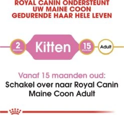 Royal Canin Maine Coon Kitten - Kattenvoer - 4 Kg 26 Royal Canin Maine Coon Kitten - Kattenvoer - 4 Kg -Kattenproducten 1200x1114 2