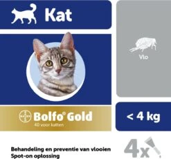 Bayer Bolfo Gold 40 Anti Vlooienmiddel - Kat - 0 Tot 4 Kg - 4 Pipetten 19 Bayer Bolfo Gold 40 Anti Vlooienmiddel - Kat - 0 Tot 4 Kg - 4 Pipetten -Kattenproducten 1200x1116 4