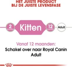 Royal Canin Kitten In Jelly - Kattenvoer - 1020 G 33 Royal Canin Kitten In Jelly - Kattenvoer - 1020 G -Kattenproducten 1200x1117
