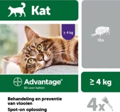 Bayer Anti Vlooienmiddel Advantage 80 > 4 Kg - 4 X 0,8 Ml 23 Bayer Anti Vlooienmiddel Advantage 80 > 4 Kg - 4 X 0,8 Ml -Kattenproducten 1200x1117 3