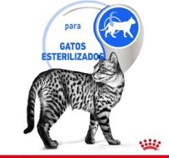 Royal Canin Feline Sterilised Indoor In Gravy -Kattenproducten 1200x1120 2