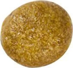 Royal Canin Kat Renal2 Kg 29 Royal Canin Kat Renal2 Kg -Kattenproducten 1200x1122