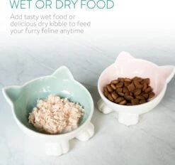 Navaris Voerbakjes Voor Katten - Set Van 2 Voer- En Waterbakken - Etensbak Van Keramiek - Met Antislip Voetjes - Kattenvorm - Roze/Groen 12 Navaris Voerbakjes Voor Katten - Set Van 2 Voer- En Waterbakken - Etensbak Van Keramiek - Met Antislip Voetjes - Kattenvorm - Roze/Groen -Kattenproducten 1200x1128